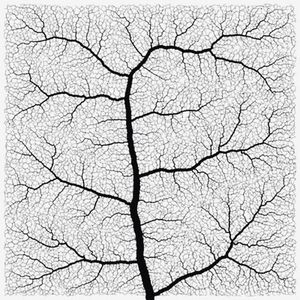 Mold - demo - Download (2014)